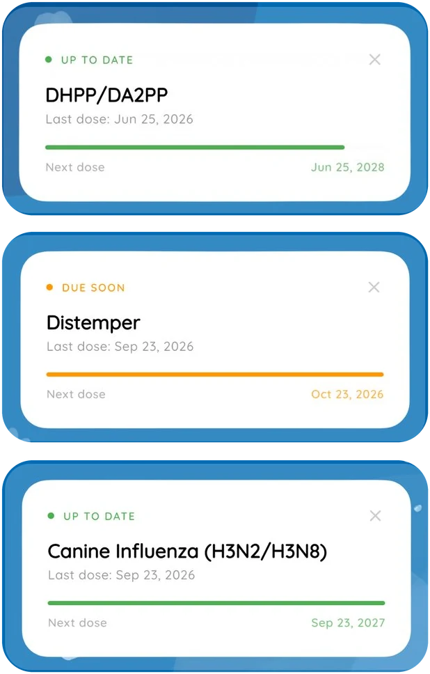 Vaccine cards in Dogsly: up to date and next dose